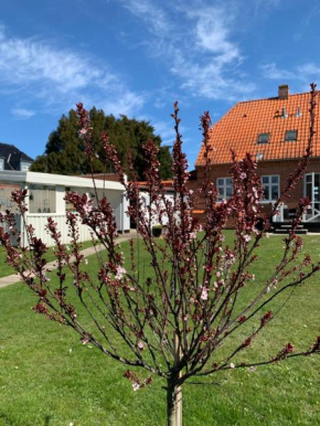 H. C. Lumbyes Vej - kælderlejlighed, Odense C